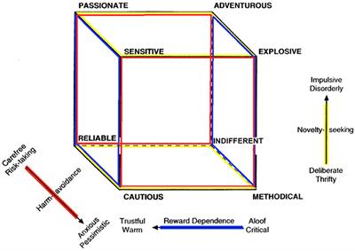 Self-Transcendence in Mountaineering and BASE Jumping